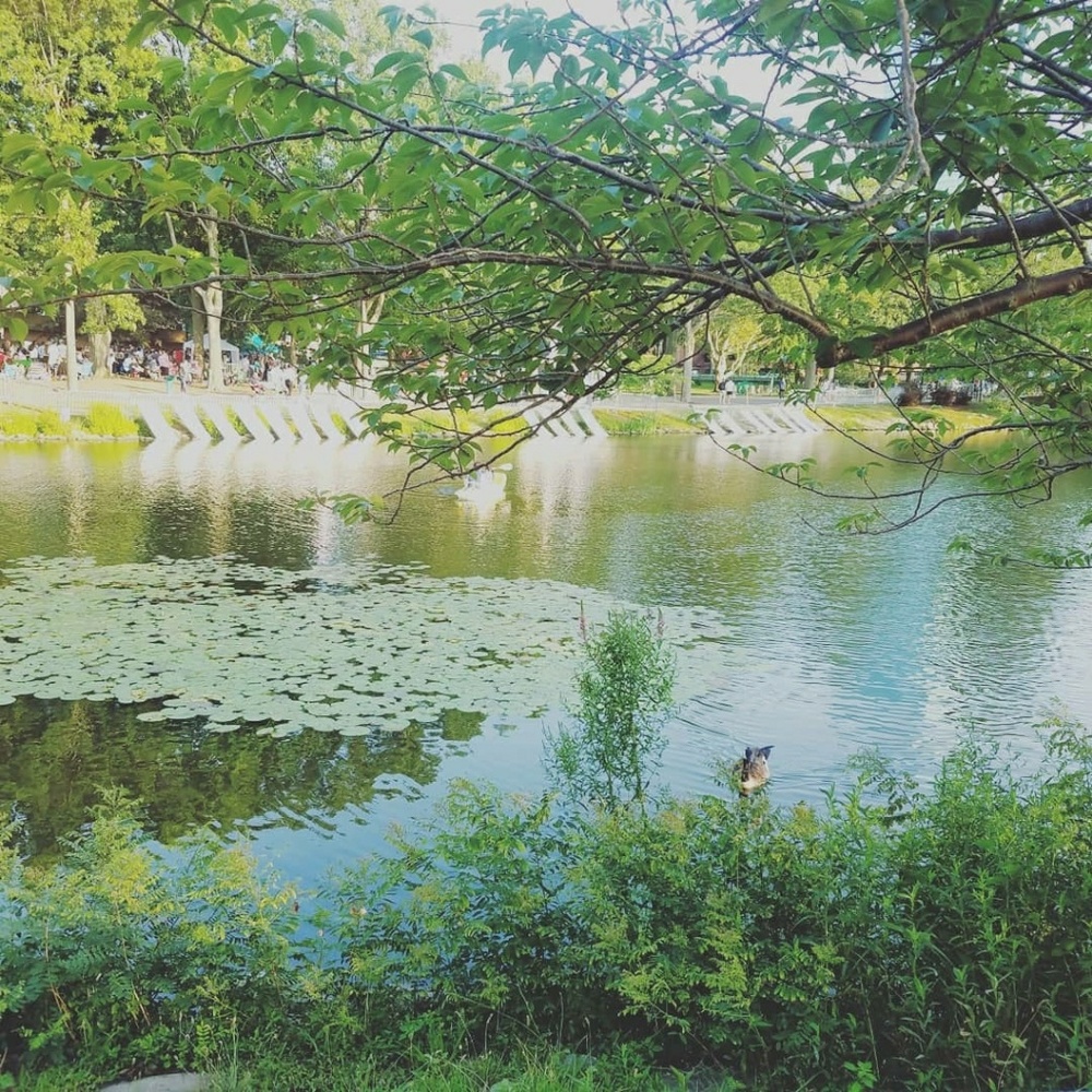 Meet your Posher, Lexie